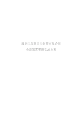 全面预算管理实施方案