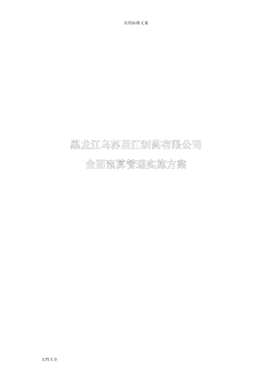 全面预算管理系统实施方案设计_第1页