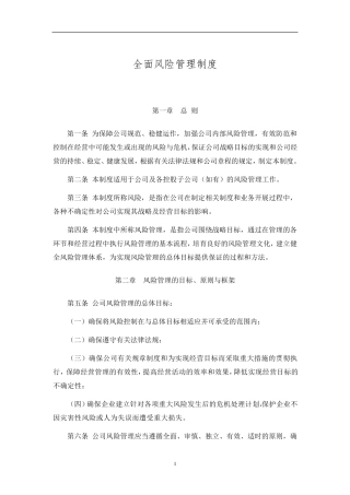 全面风险管理制度