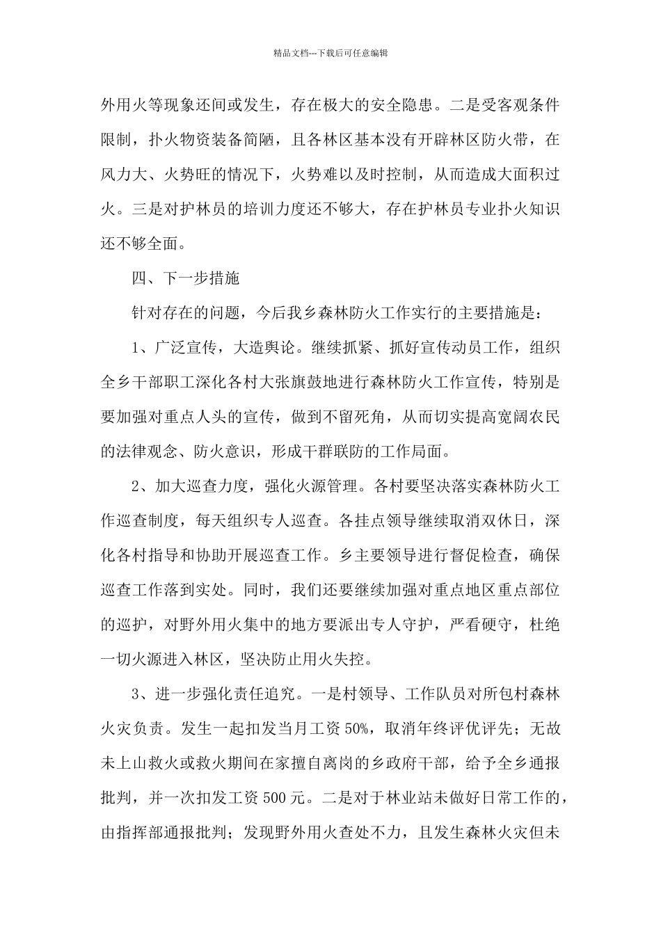 2024年某乡护林防火工作总结_第3页