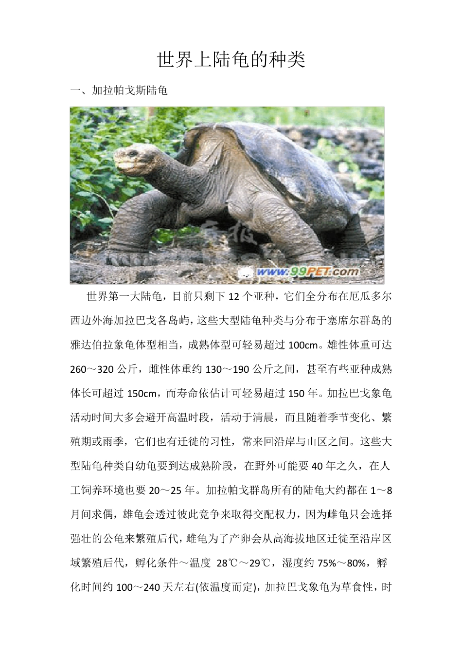 八个品种陆龟(成年大图)_第1页