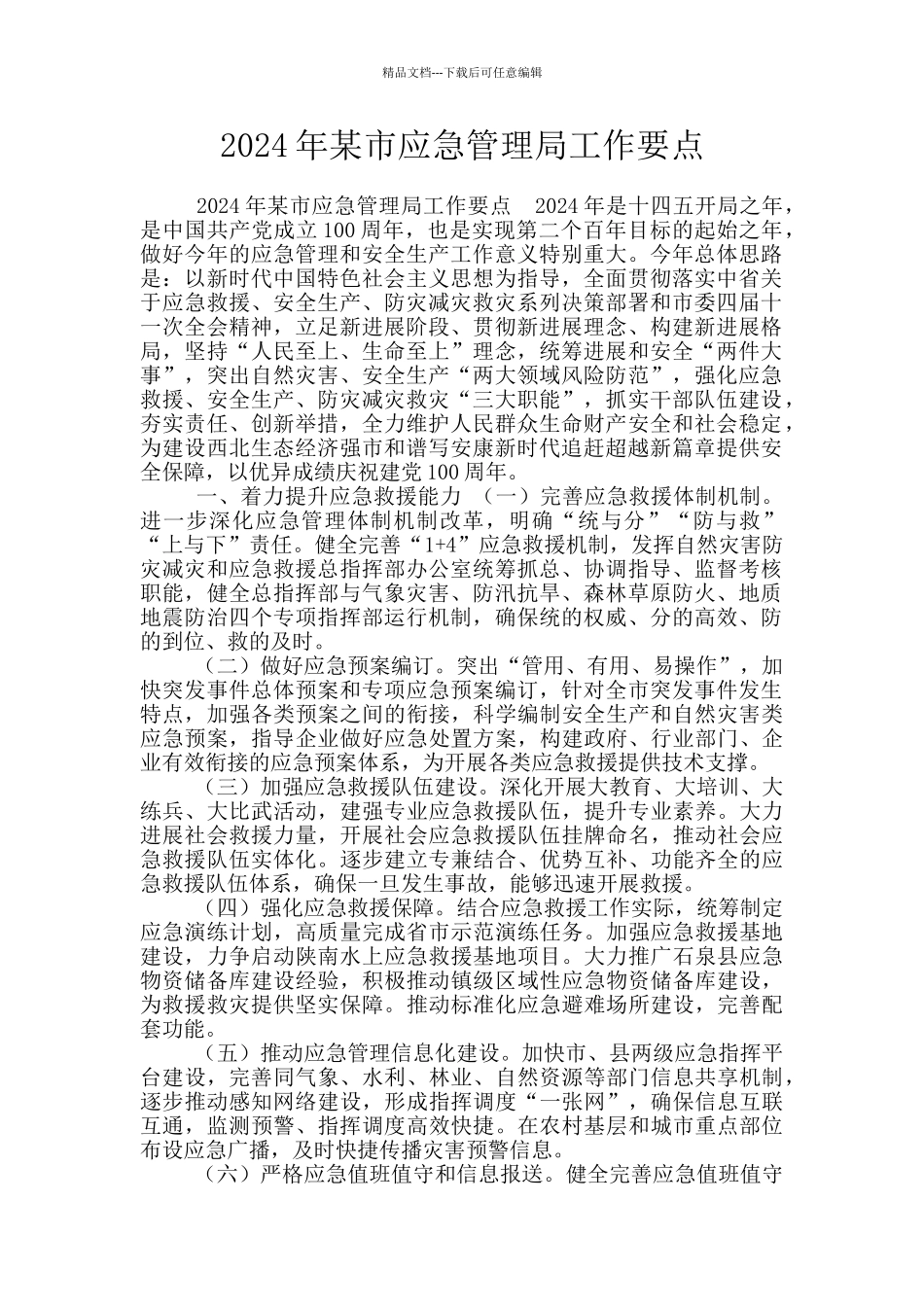 2024年某市应急管理局工作要点_第1页