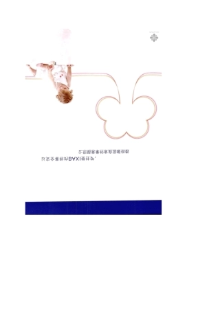 八喜燃气壁挂炉样本