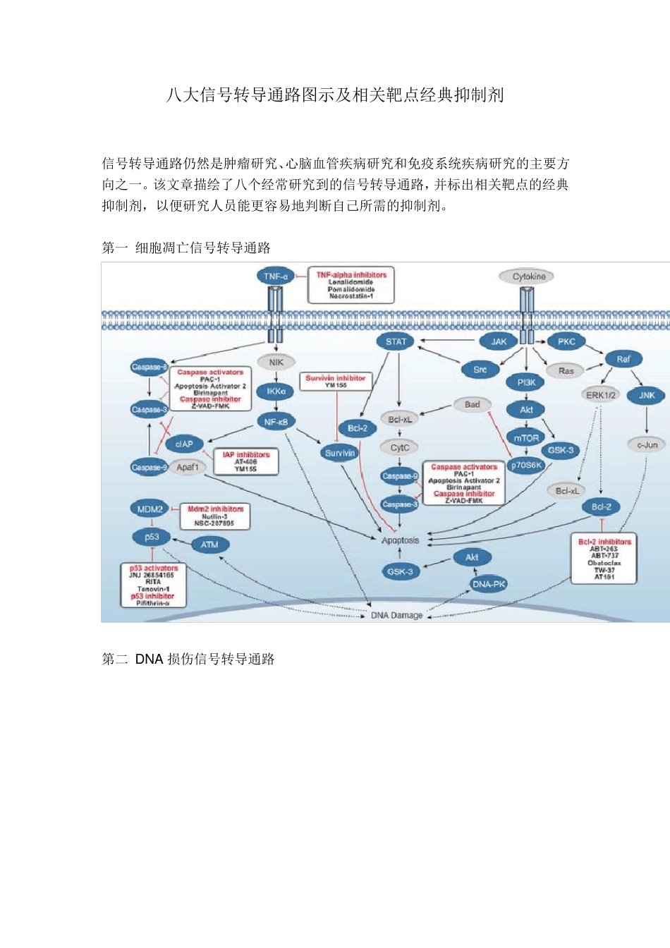 八大信号转导通路_第1页