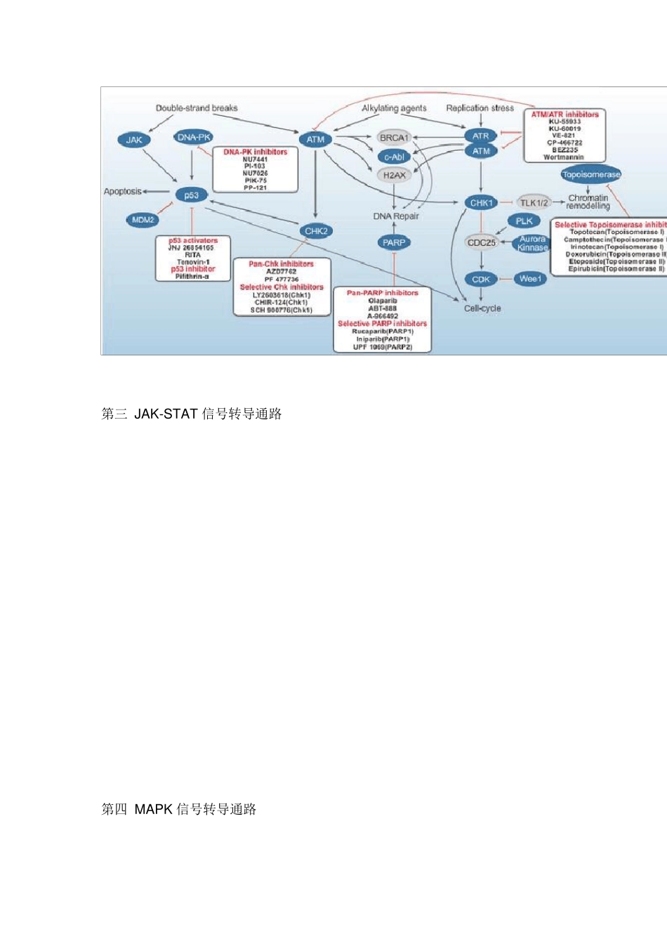 八大信号转导通路_第2页