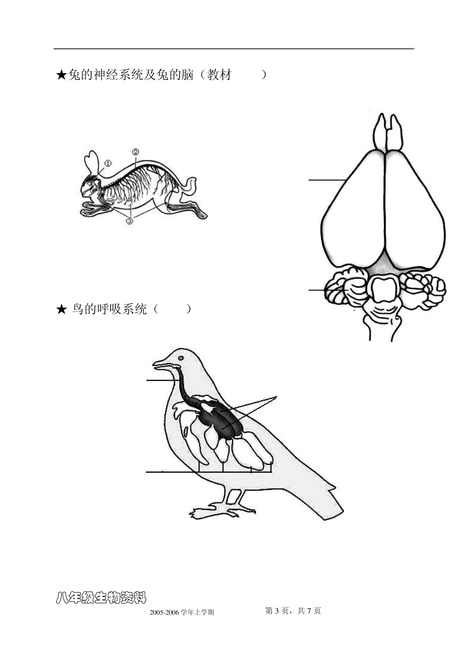 八年级上册生物总复习(重点图形汇总)_第3页