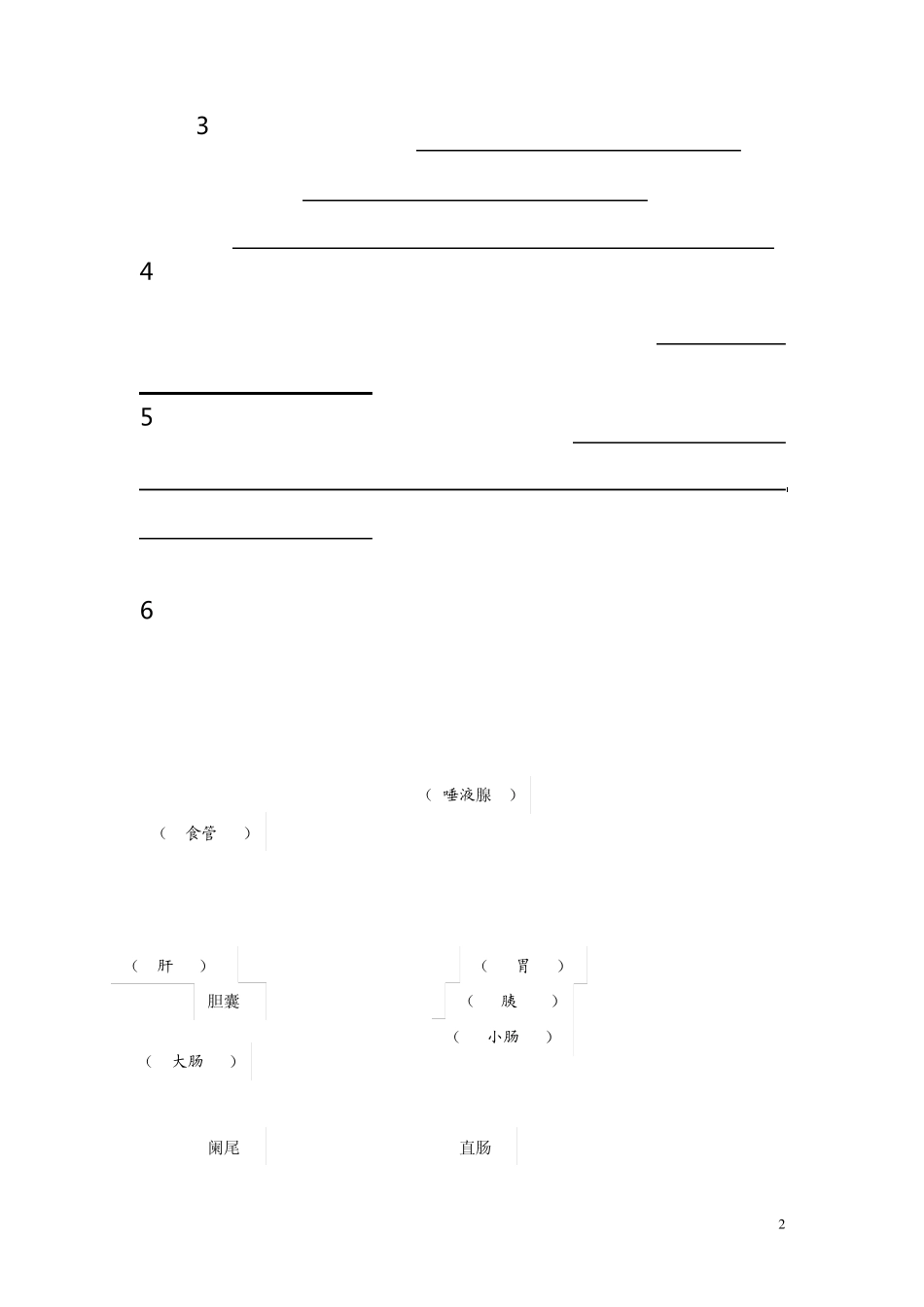 八年级上生命科学练习册答案_第2页