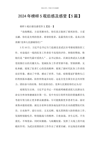 2024年榜样5观后感及感受