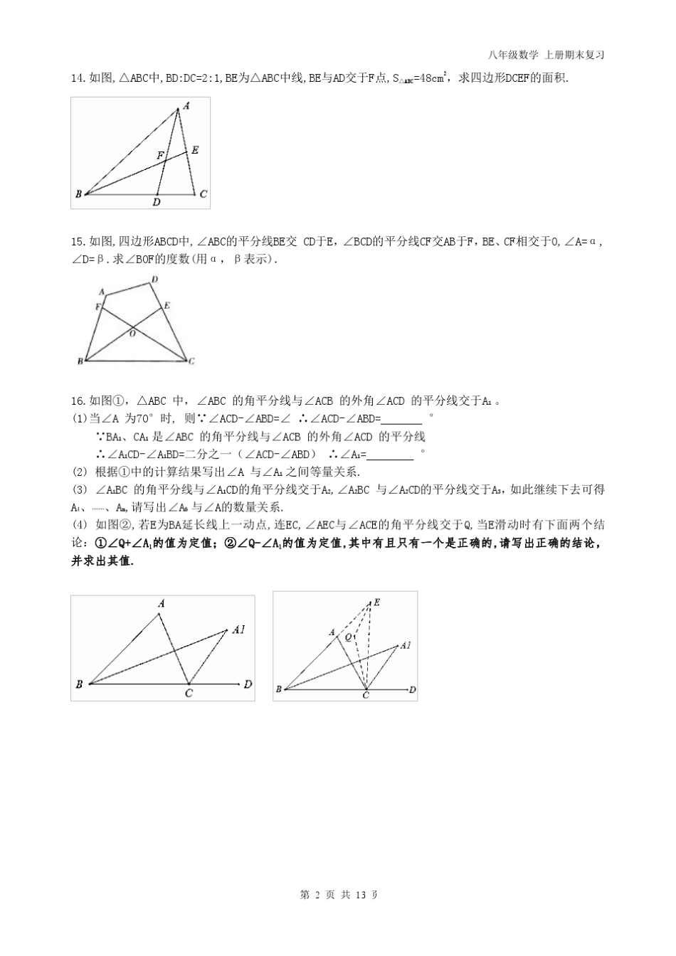 八年级数学上册重点难点题复习_第2页