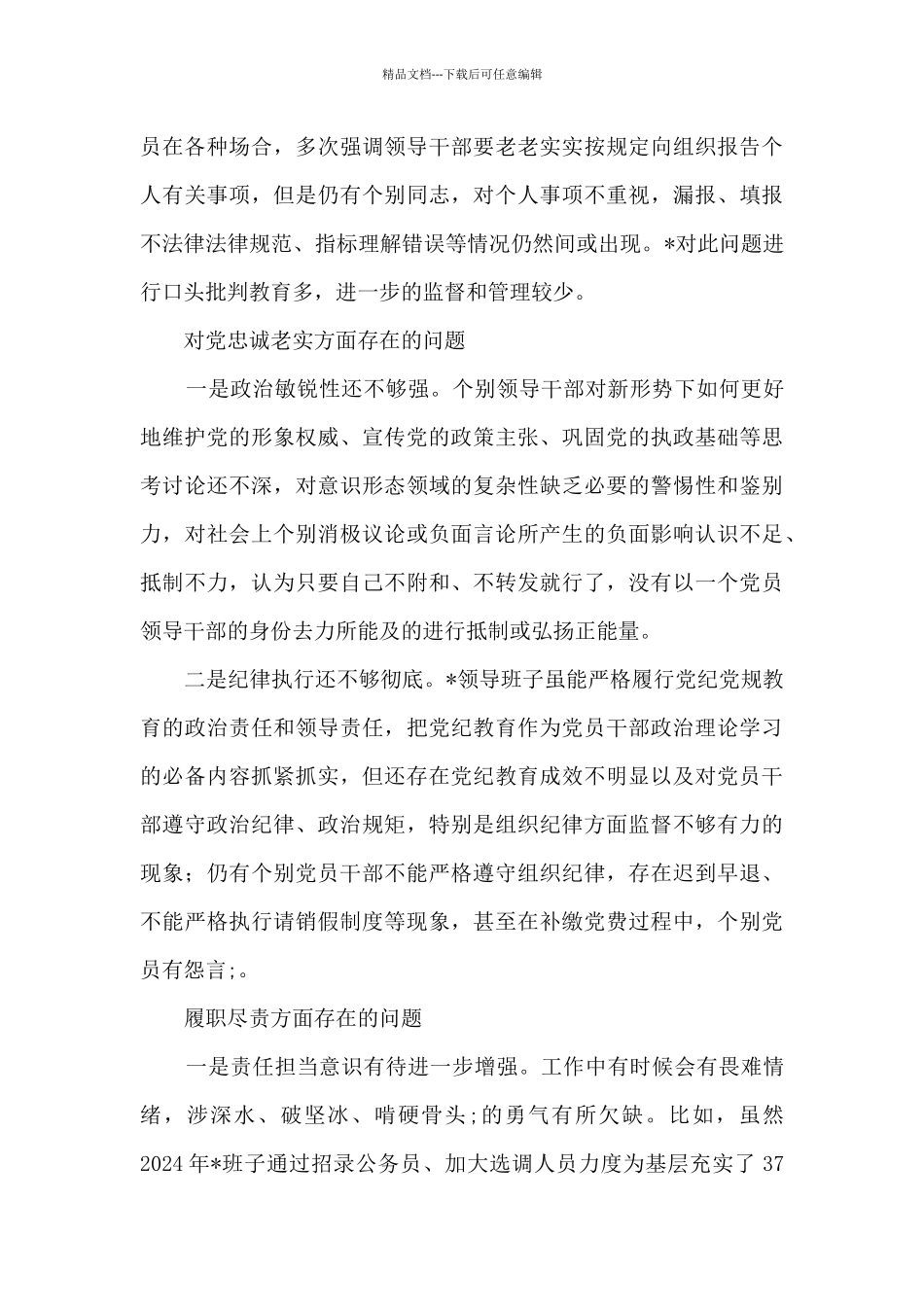 2024年民主生活班子材料_第3页