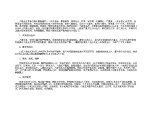 八棱丝瓜和丝瓜的栽培技术