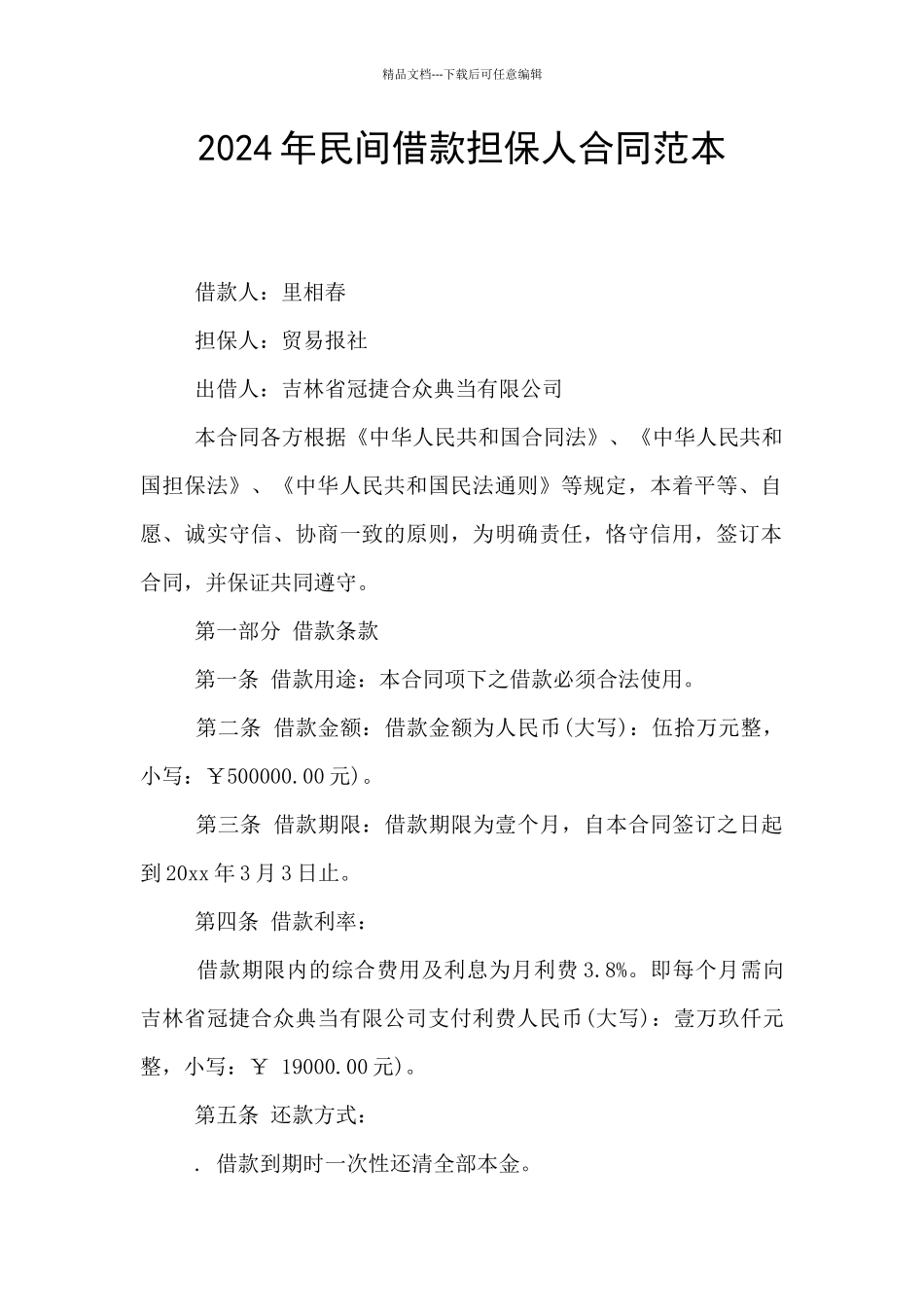 2024年民间借款担保人合同范本_第1页