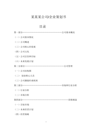 公司、企业策划书模板