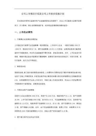 公司上市初步实施计划