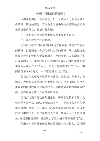 公司亏损情况说明范文