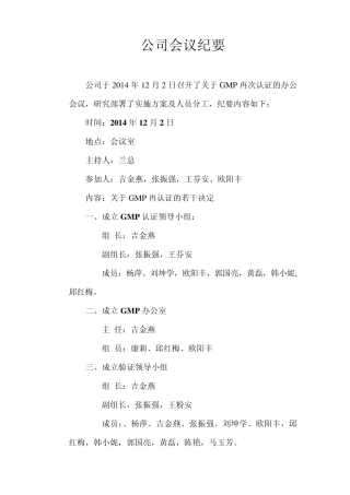 公司会议纪要(红头文件)副本