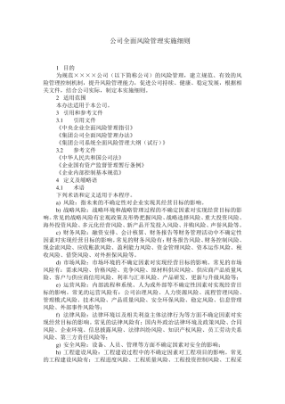 公司全面风险管理实施细则