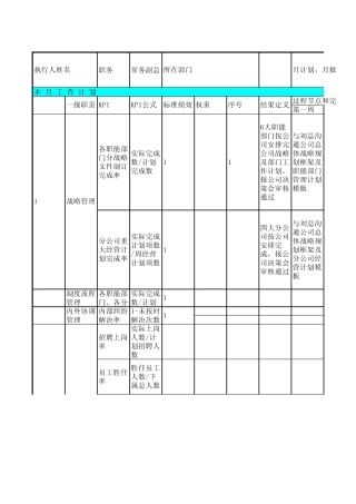 公司副总月报表