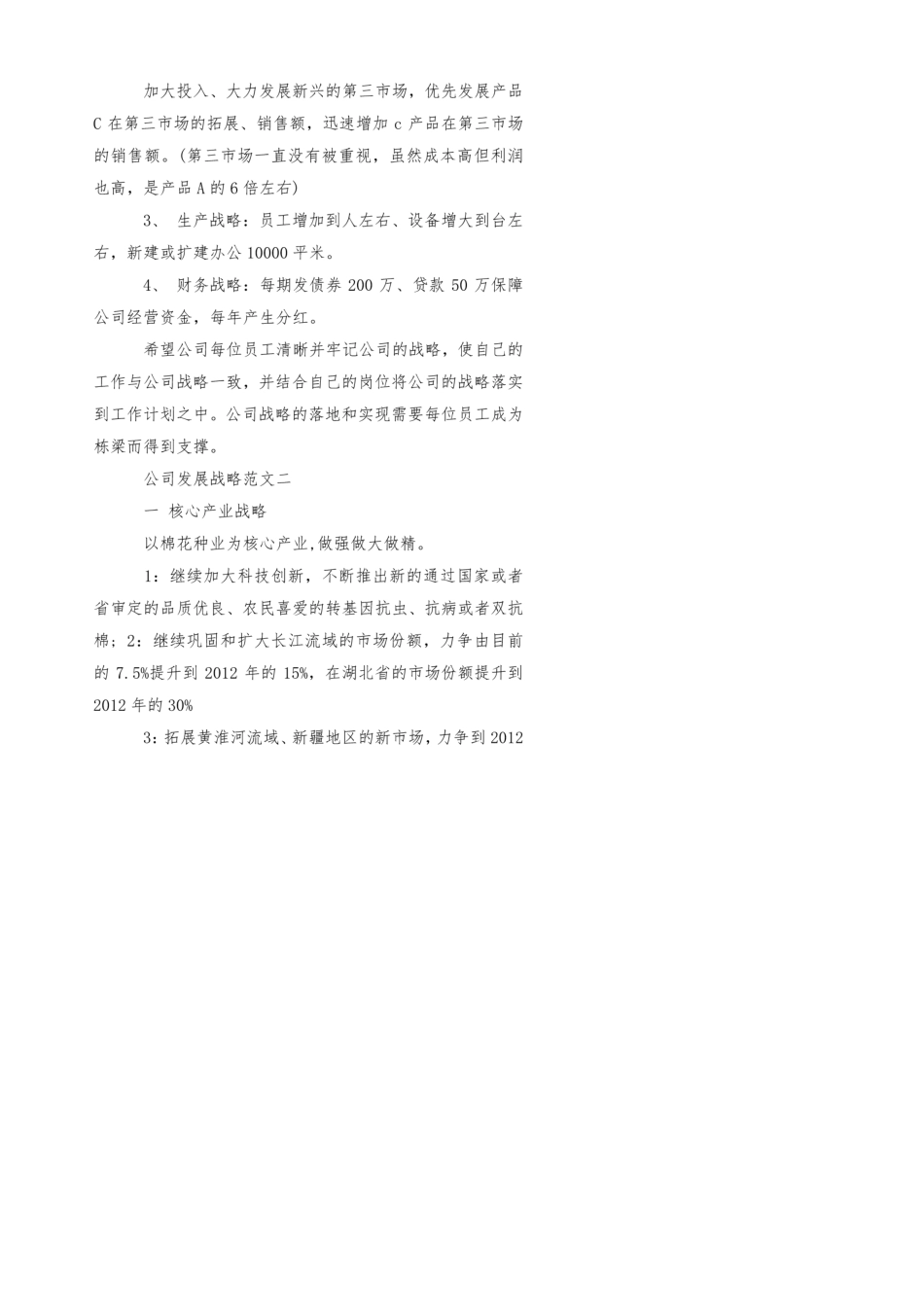 公司发展战略的范文_第2页