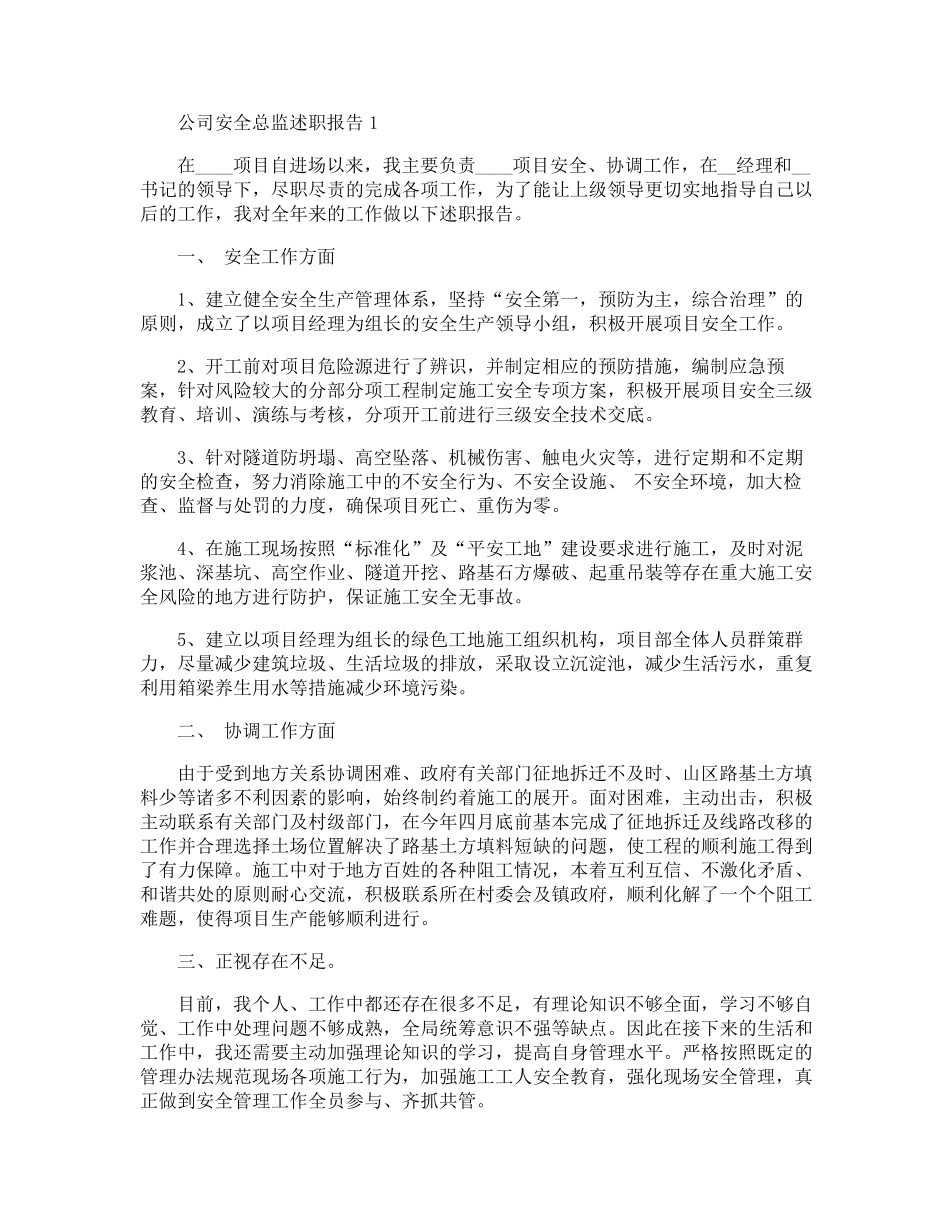 公司安全总监个人工作述职报告_第1页
