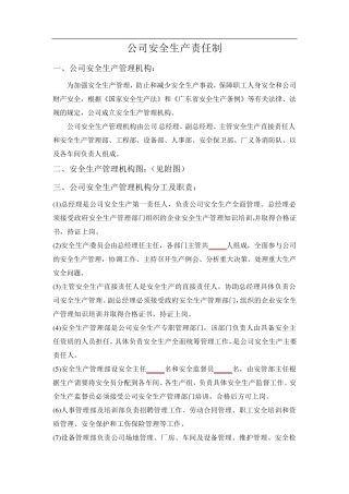 公司安全生产责任制
