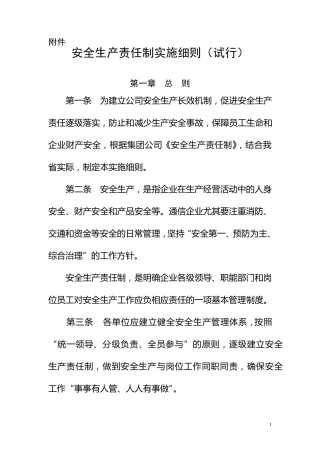 公司安全生产责任制实施细则