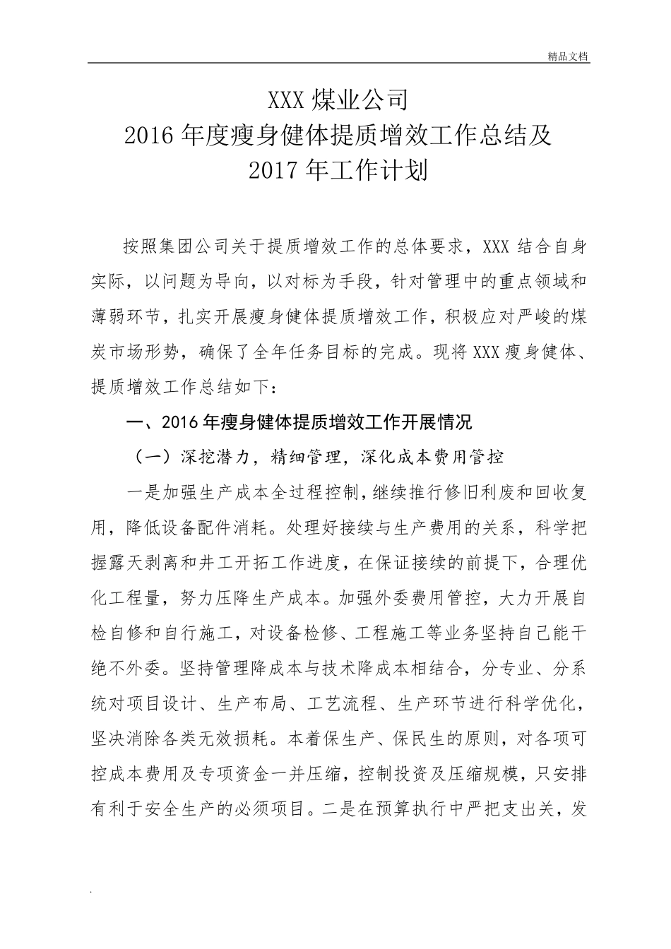 公司年度提质增效工作总结及工作计划_第1页