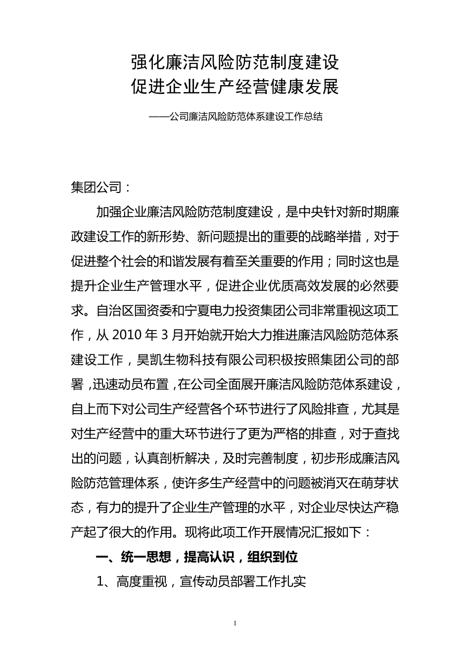 公司廉洁风险防范管理体系建设工作总结_第1页