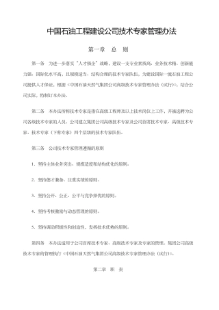 公司技术专家管理办法