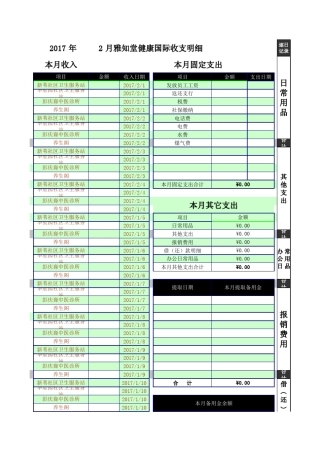 公司收支明细表模板