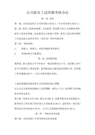公司新员工试用期考核办法
