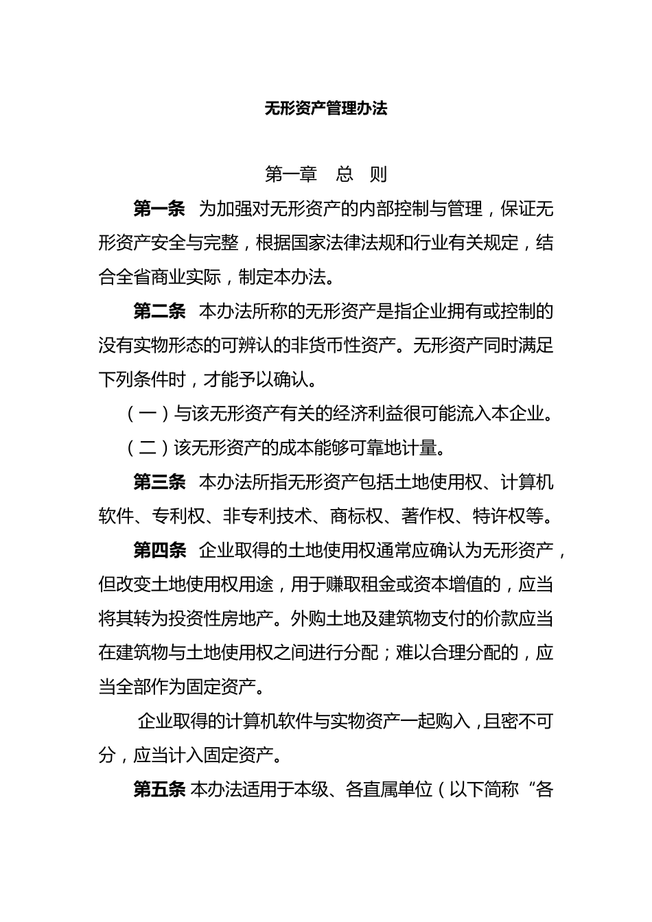 公司无形资产管理办法_第1页