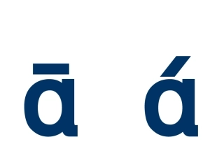 小学生拼音卡片韵母声母整体认读音节齐全自制