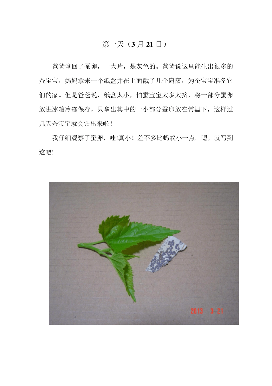 小学生的养蚕日记_第1页