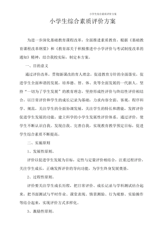 小学生综合素质评价方案
