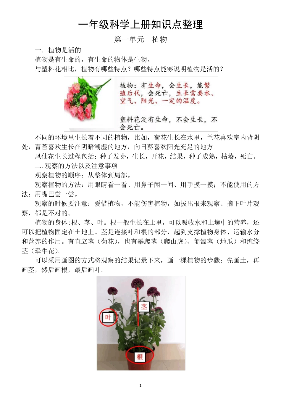 小学科学教科版一年级上册知识点整理_第1页