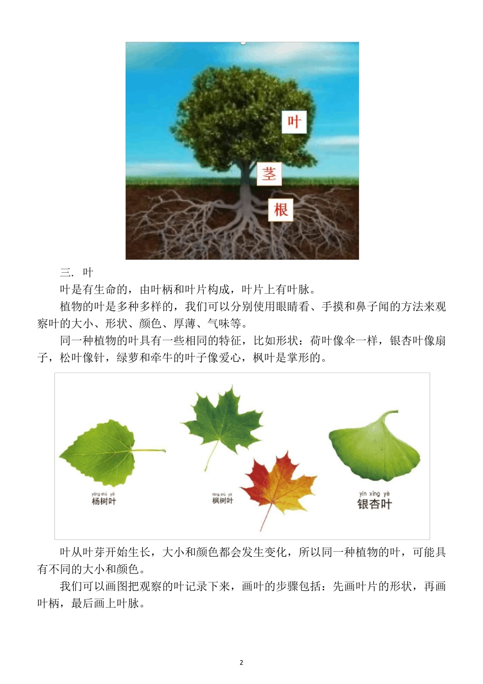小学科学教科版一年级上册知识点整理_第2页