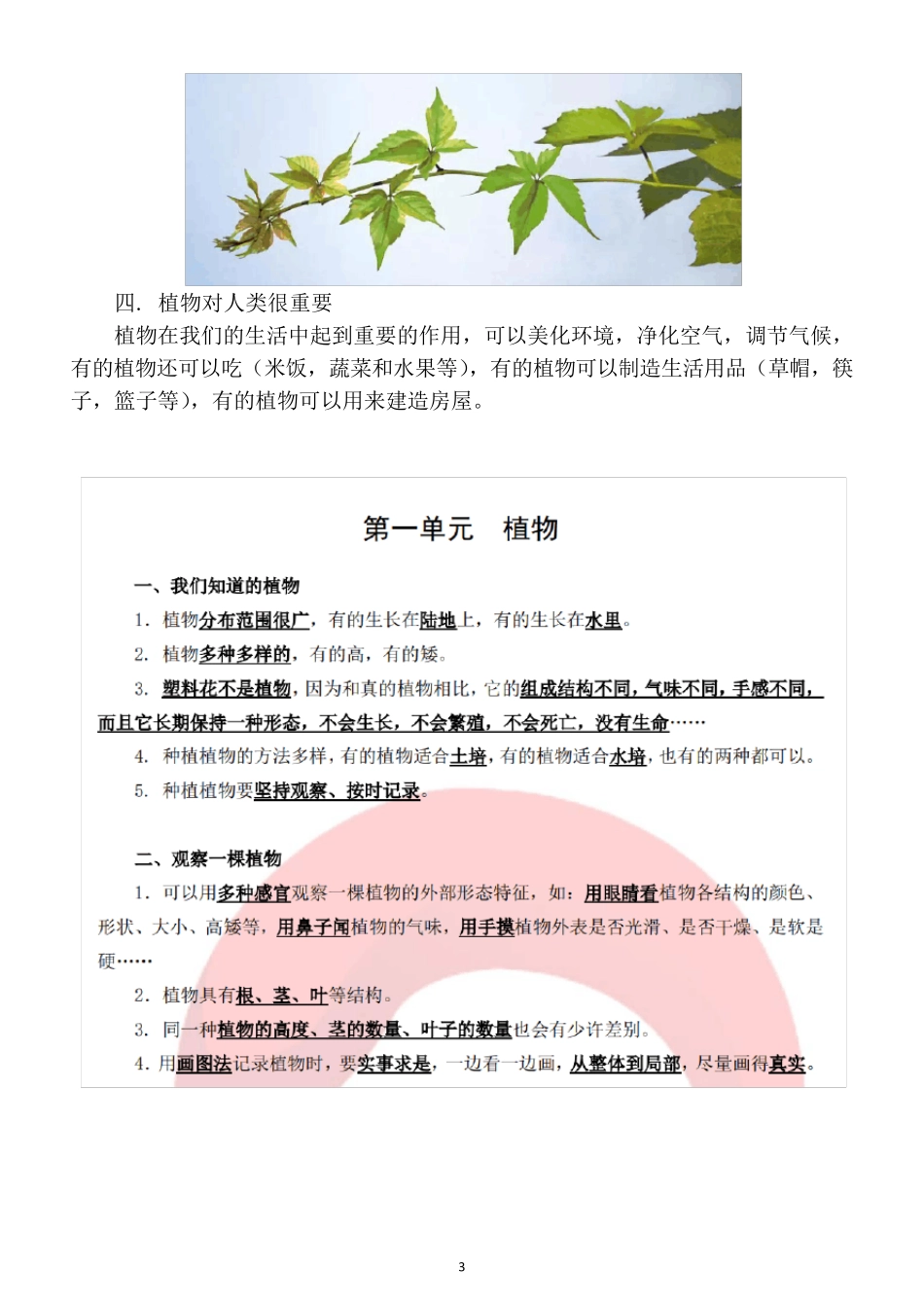 小学科学教科版一年级上册知识点整理_第3页