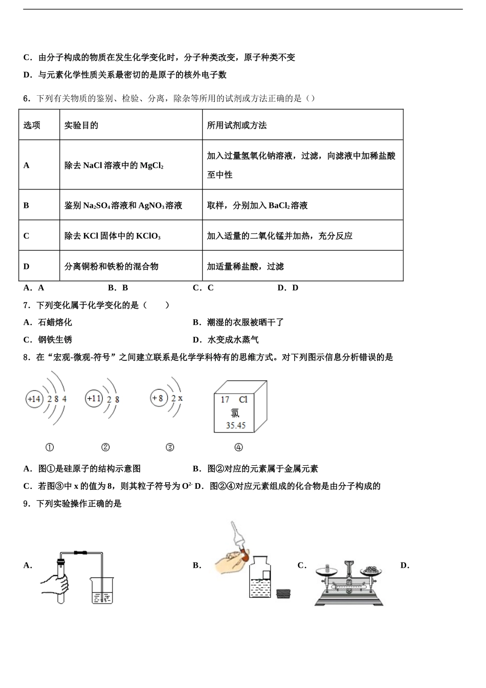 2024年江苏省南京市十三中中考押题化学预测卷含解析_第2页
