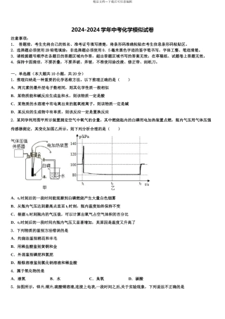 2024年江苏省南京市玄武外国语校中考化学押题卷含解析