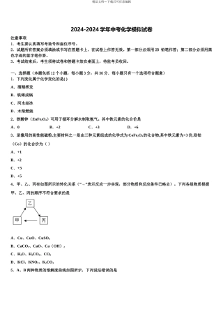 2024年江苏省南京市重点中学中考化学适应性模拟试题含解析