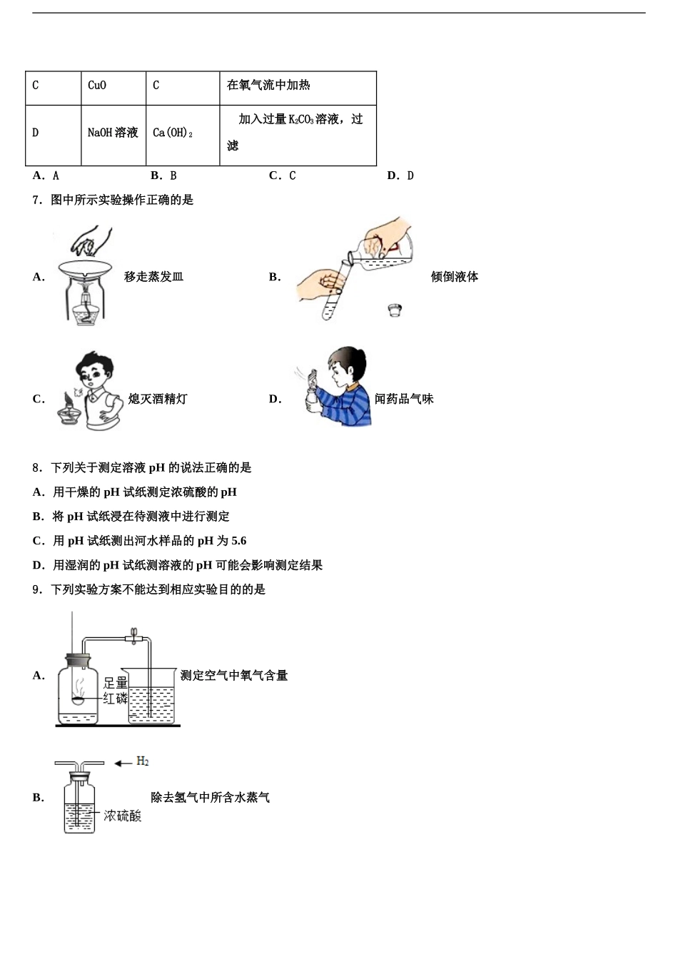 2024年江苏省姜堰区溱潼二中市级名校中考冲刺卷化学试题含解析_第2页