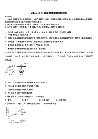 2024年江苏省扬州市枣林湾校中考化学模拟试题含解析