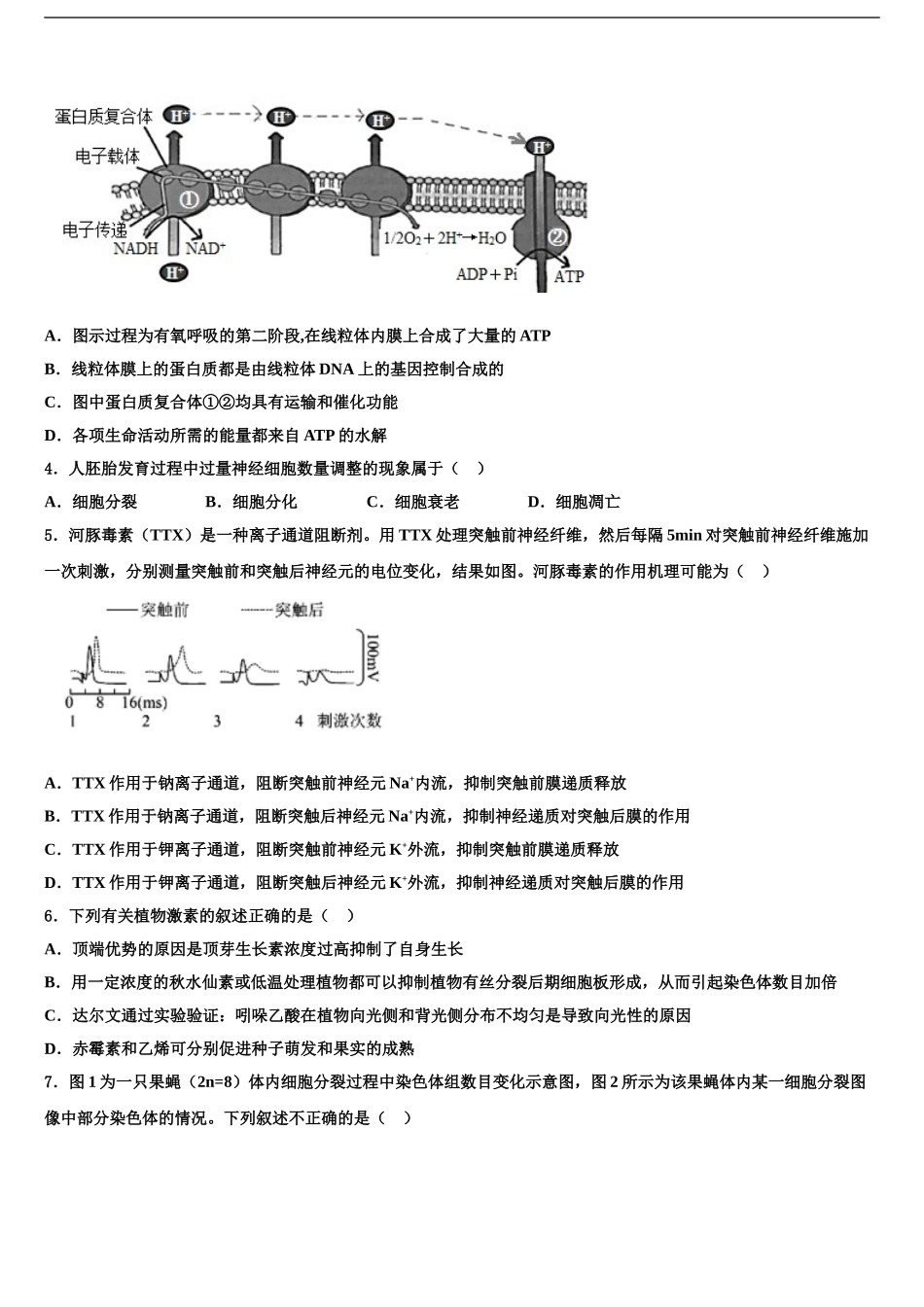 2024年江苏省泗阳县实验初级中学高考生物一模试卷含解析_第2页