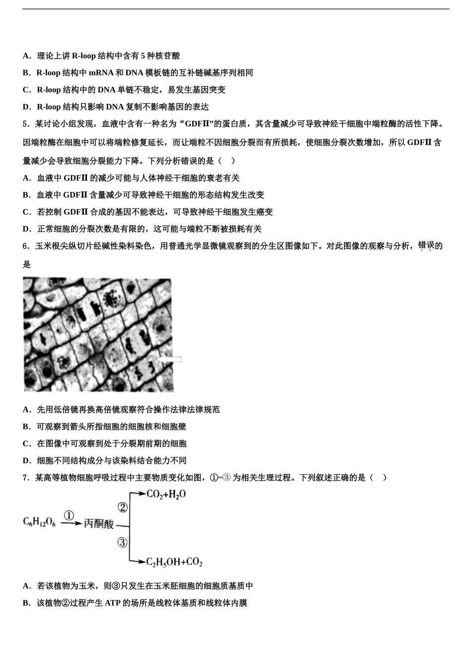 2024年江苏省泰兴市第一高级中学高考考前模拟生物试题含解析_第2页