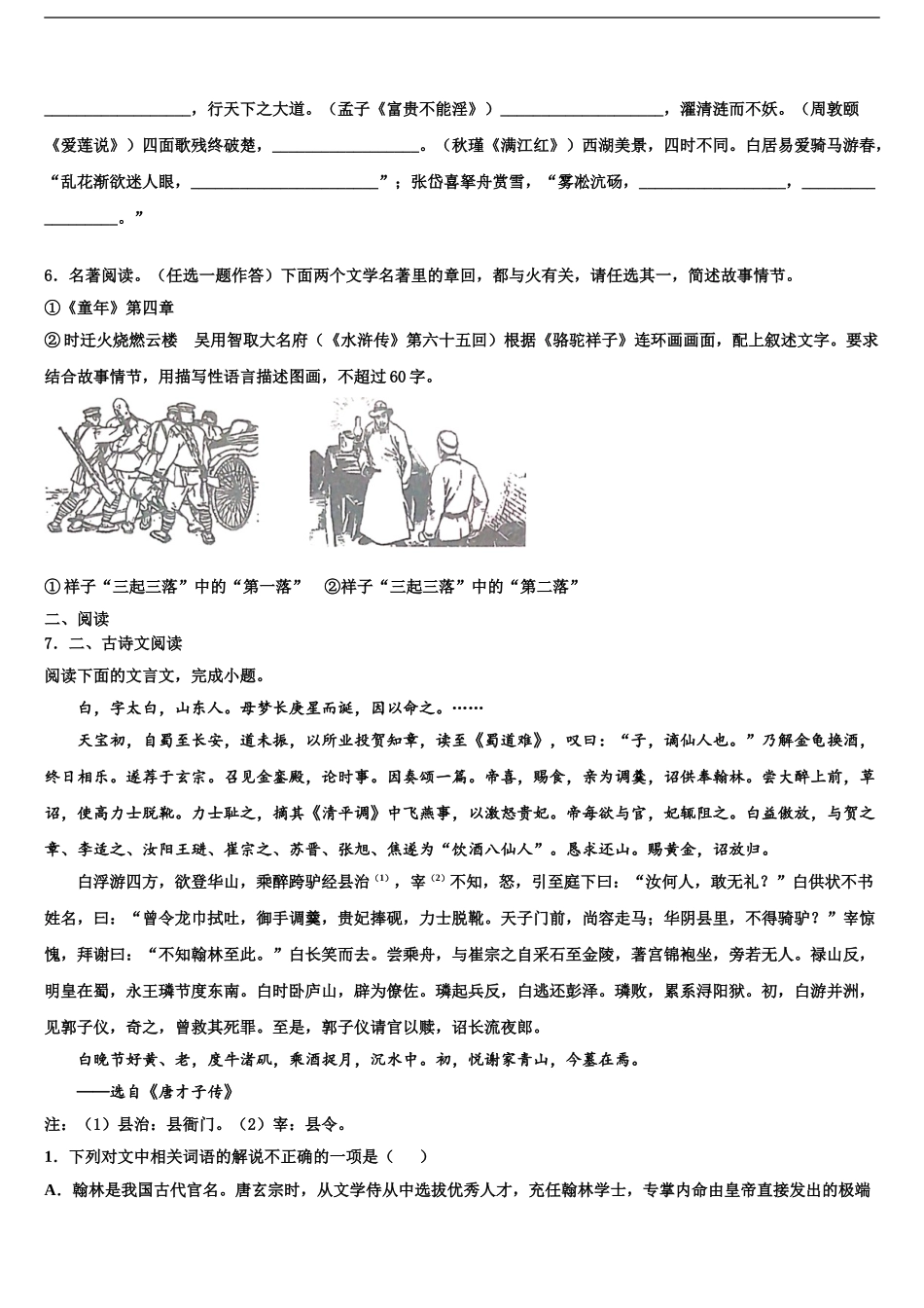 2024年江苏省泰州市周庄初级中学中考联考语文试题含解析_第2页