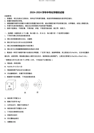 2024年江苏省泰州市常青藤校中考化学仿真试卷含解析