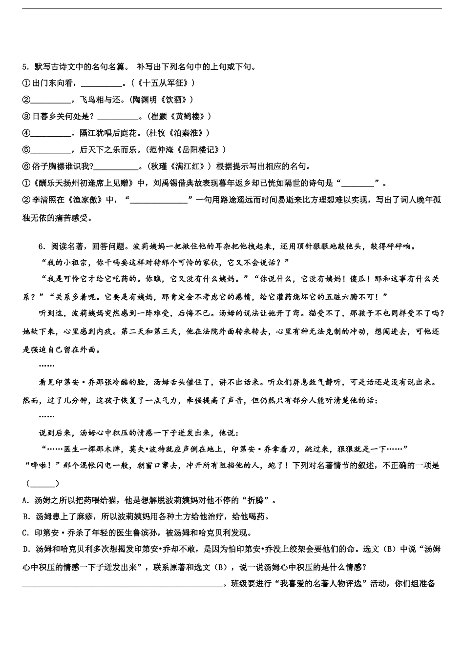 2024年江苏省泰州市泰兴实验中学中考语文仿真试卷含解析_第2页