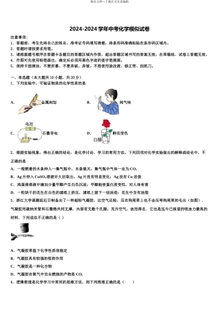 2024年江苏省盐城市南洋中学初中化学毕业考试模拟冲刺卷含解析