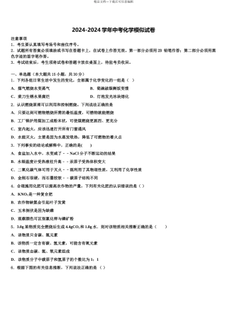 2024年江苏省盐城市大丰区市级名校中考化学全真模拟试卷含解析